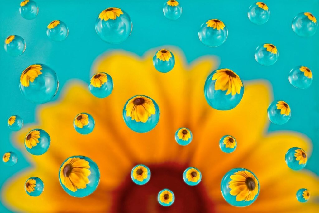 Sunflowers reflected in drops of water image created by AI-Based Image Generator Tools